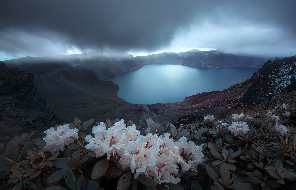 Misty Crater Lake Flowers by Shanyewuyu — canvas wall art