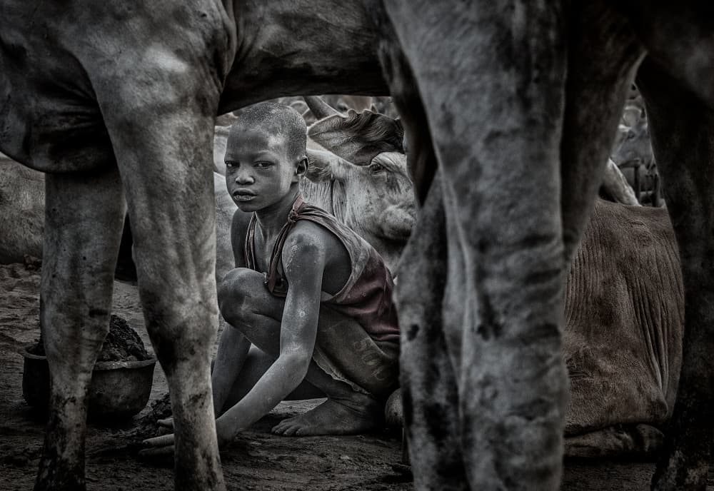 African Child and Cattle by Joxe Inazio Kuesta Garmendia — canvas wall art