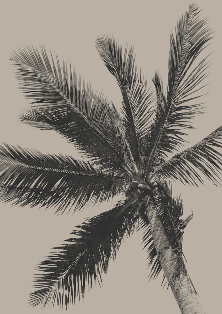 Vintage Tropical Palm by Eda Ünsoy — canvas wall art