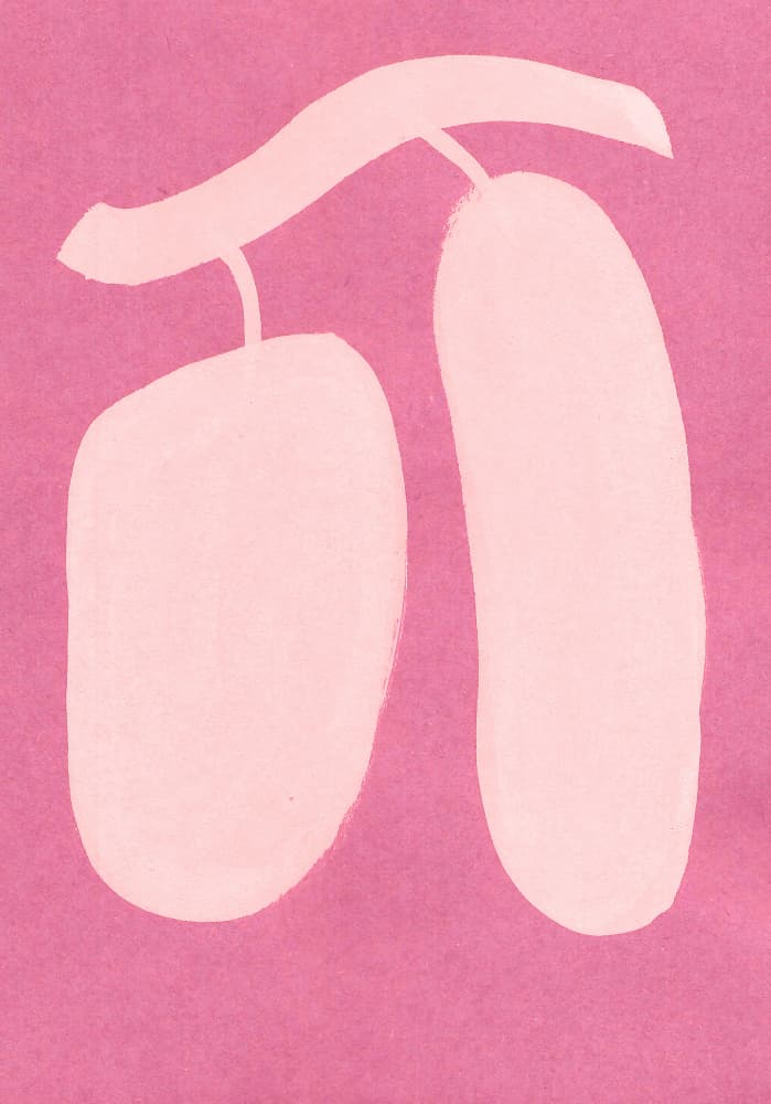 Pink Tropical Fruit by Santhosh ch — canvas wall art