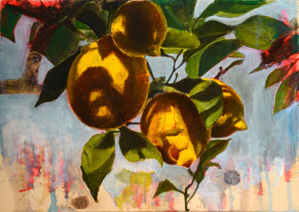Fresh Yellow Lemons by David Diehl — canvas wall art
