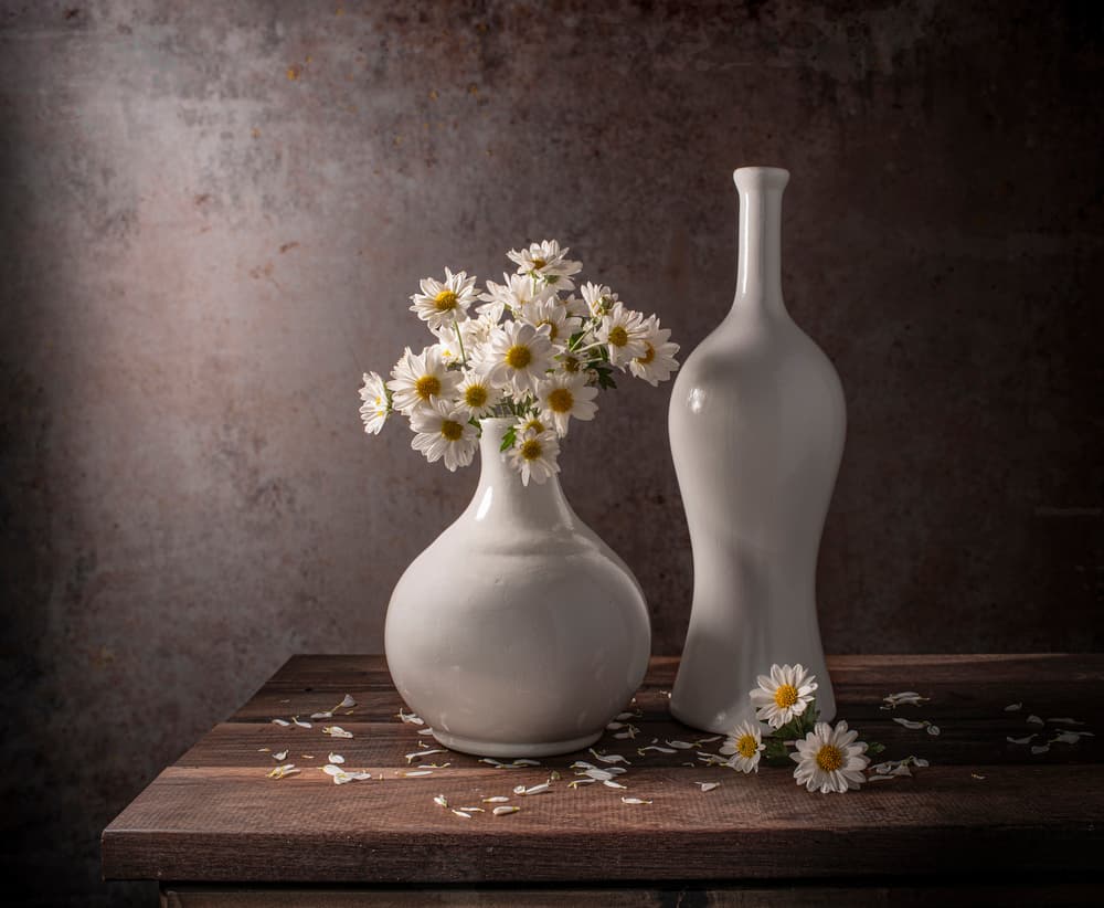 White Daisies Still Life by Margareth Perfoncio — canvas wall art