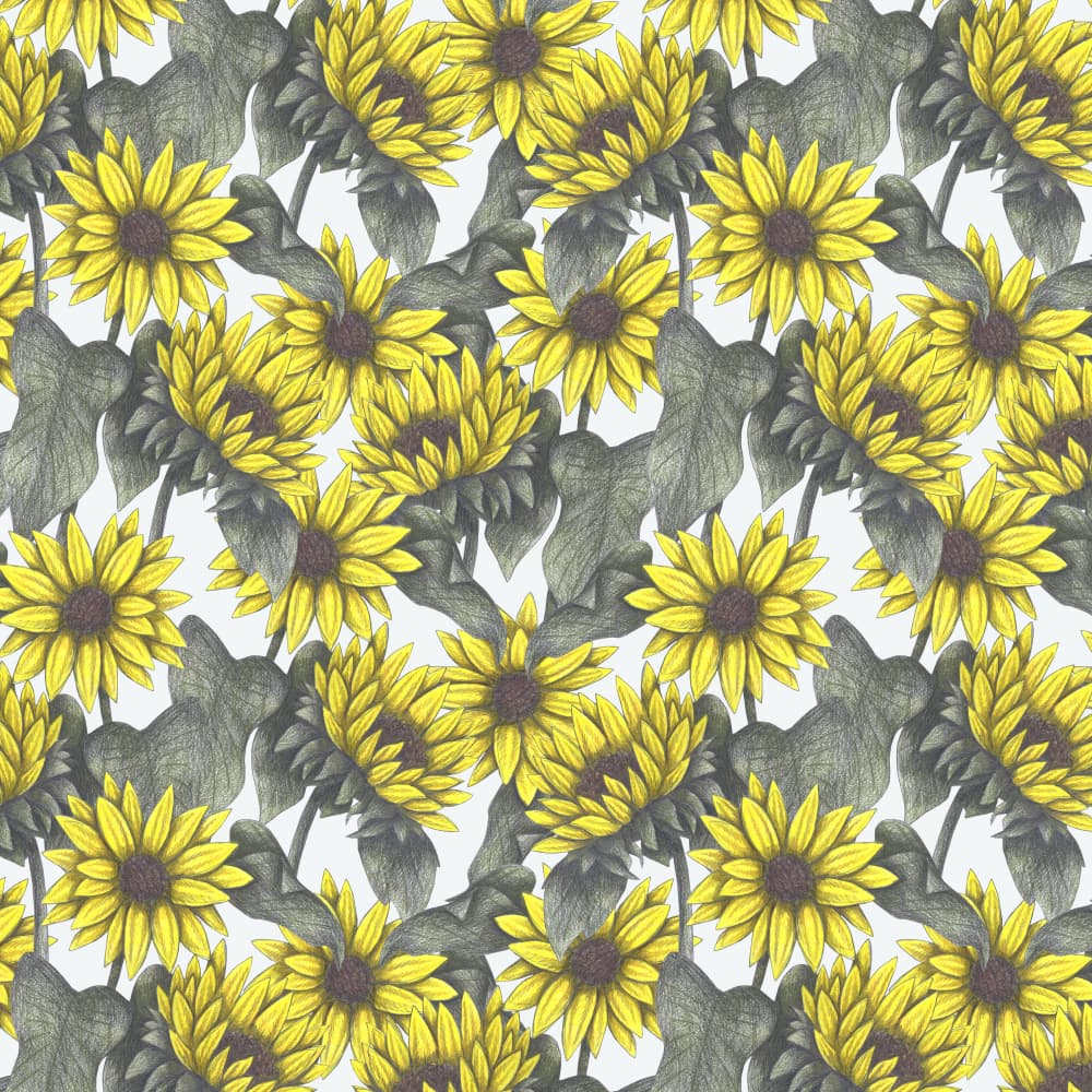Cheerful Yellow Sunflowers by Cecilia Battaini — canvas wall art