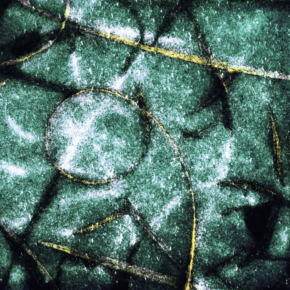 Textured Green Circles by Christina Sillen — canvas wall art