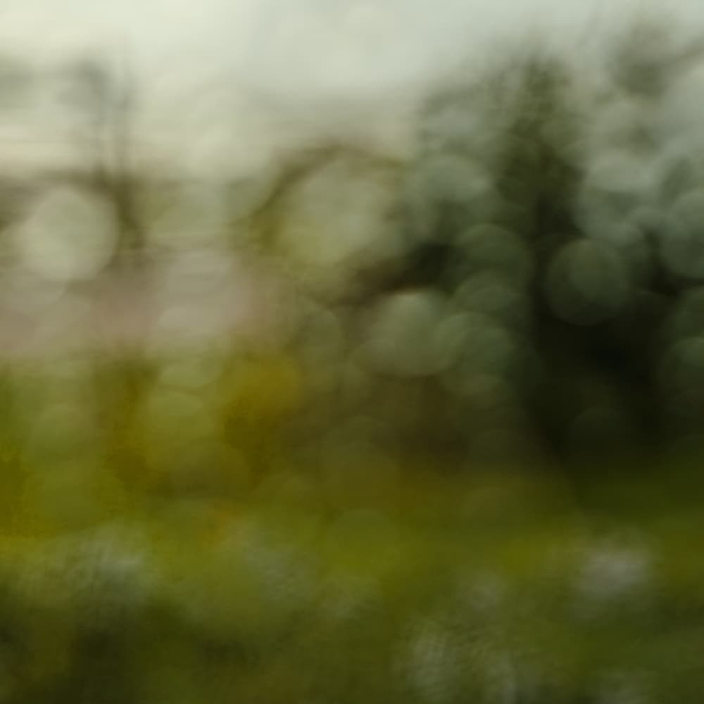 Soft Nature Blur by Olivia Joy StClaire — canvas wall art