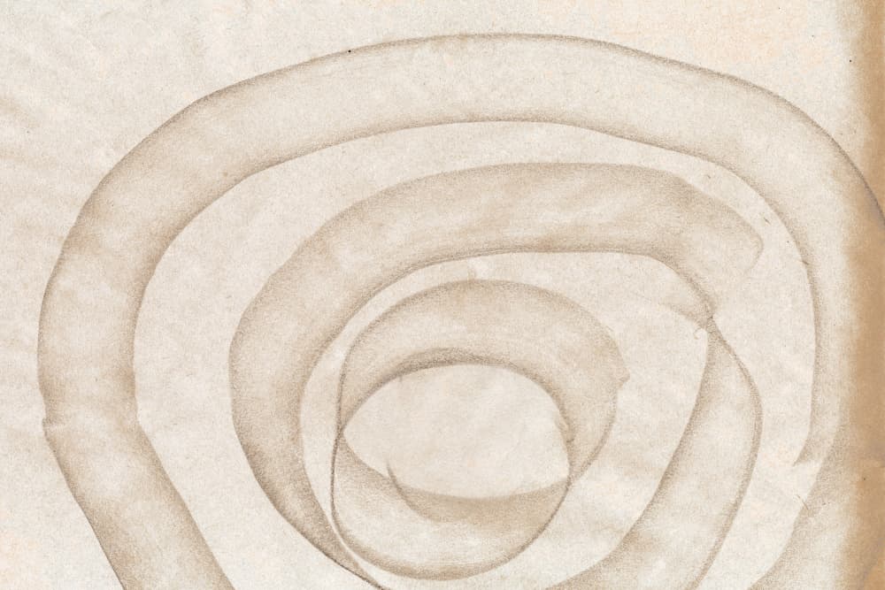 Fluid Organic Curves by Edward Selkirk — canvas wall art