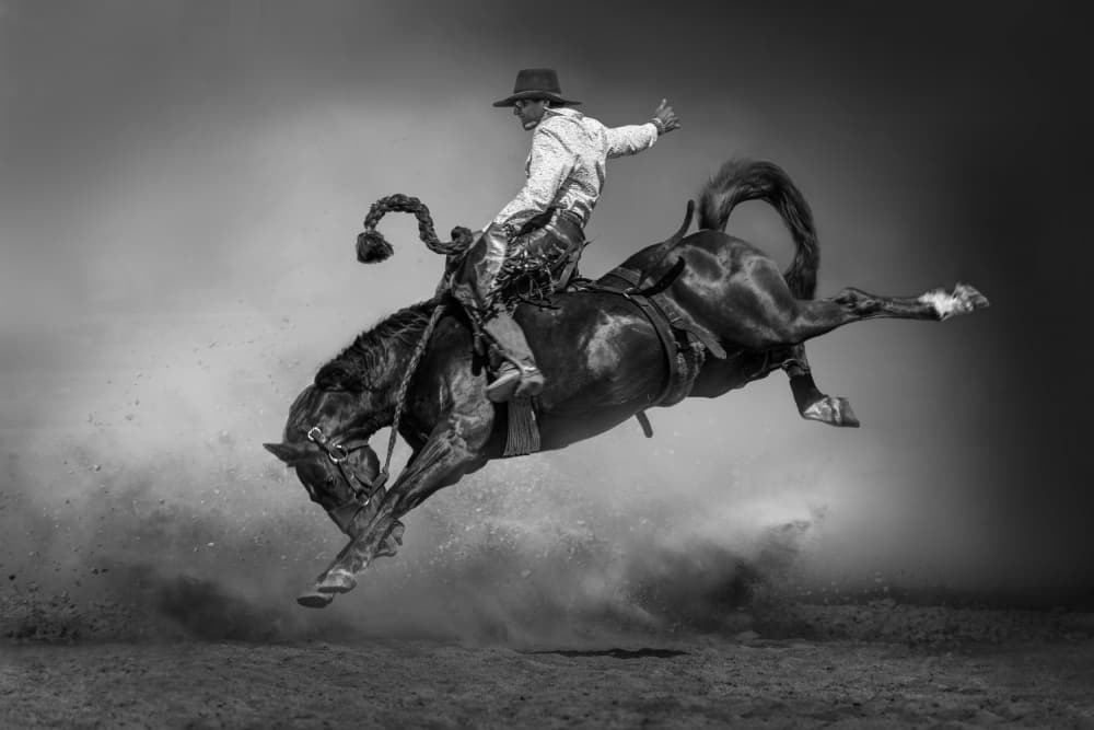 Rodeo Cowboy Action by Irene Wu — canvas wall art