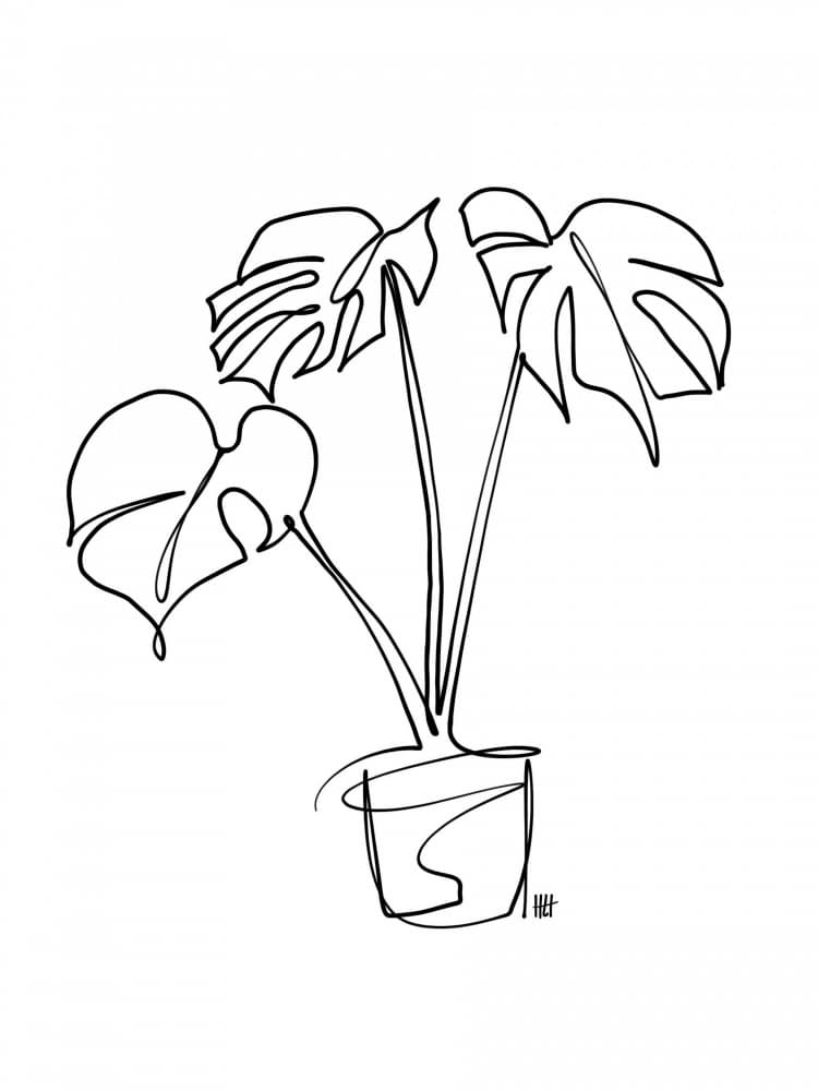 Monstera Line Art by Hanna Lee Tidd — canvas wall art