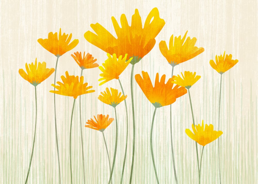 Golden Poppy Field by Kristian Gallagher — canvas wall art