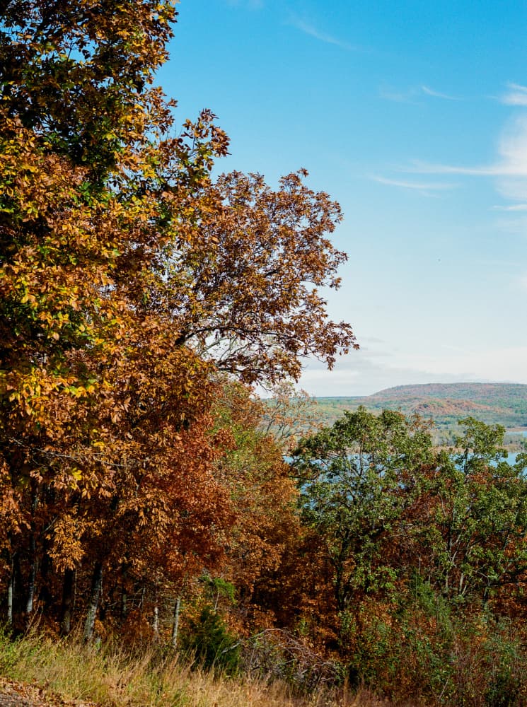 Vibrant Autumn Landscape by Bethany Young — canvas wall art