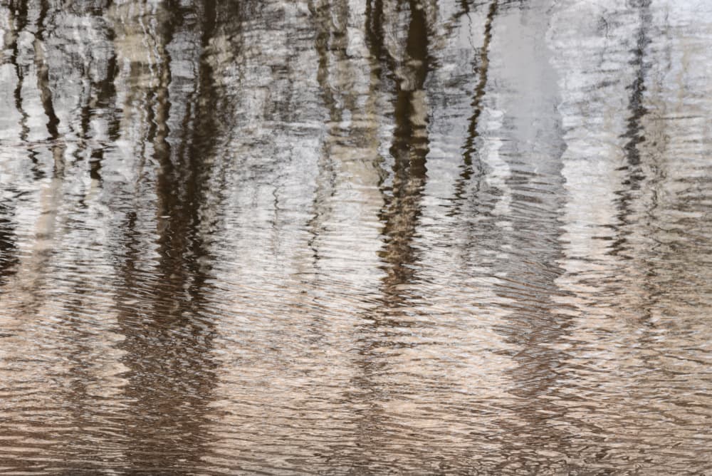 Rippled Tree Reflections by Imaginative — canvas wall art