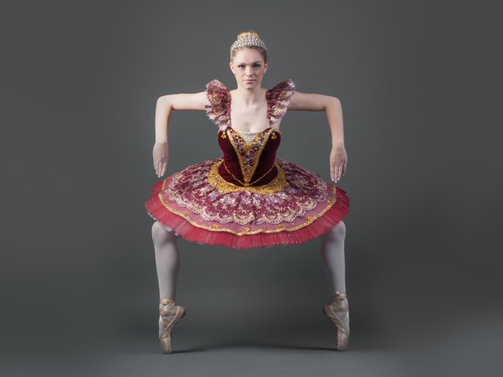 Elegant Ballerina Pliè by Darlene Hewson — canvas wall art