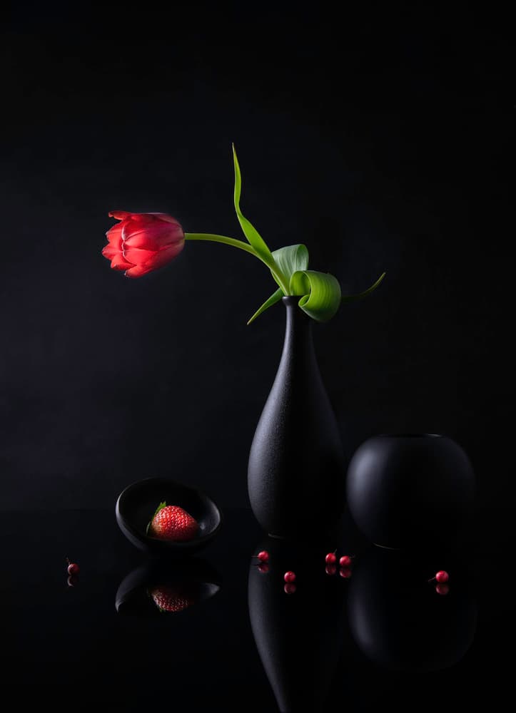 Moody Red Tulip Still Life by Binbin L. — canvas wall art