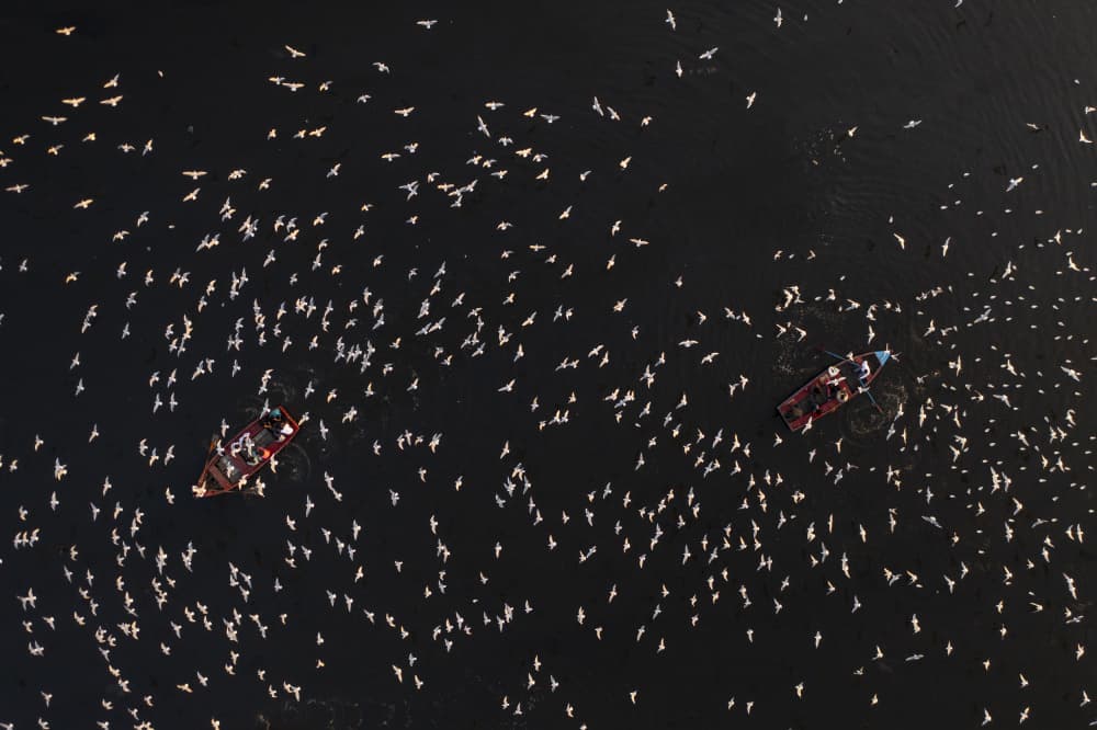 Aerial Boats and Birds by Azim Khan Ronnie — canvas wall art