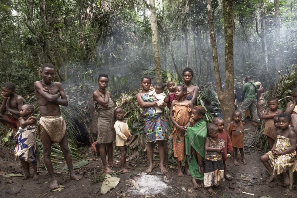 Children of the Jungle by Elena Molina — canvas wall art