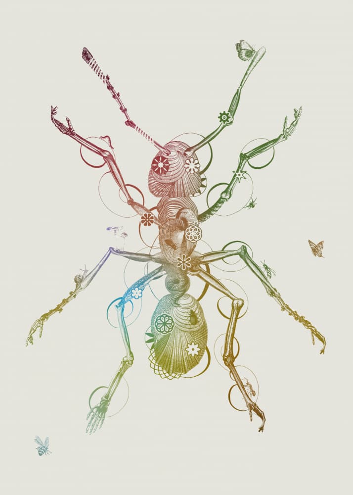 Rainbow Steampunk Insect by Jaco Putker — canvas wall art