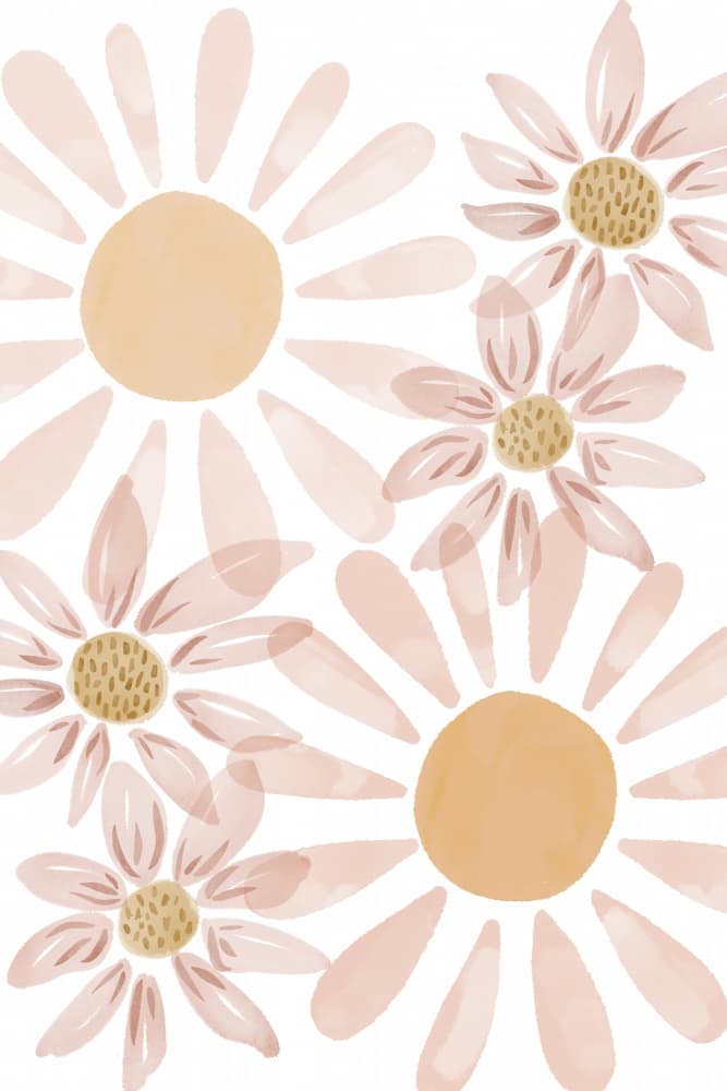Soft Peach Daisies by Menina Lisboa — canvas wall art