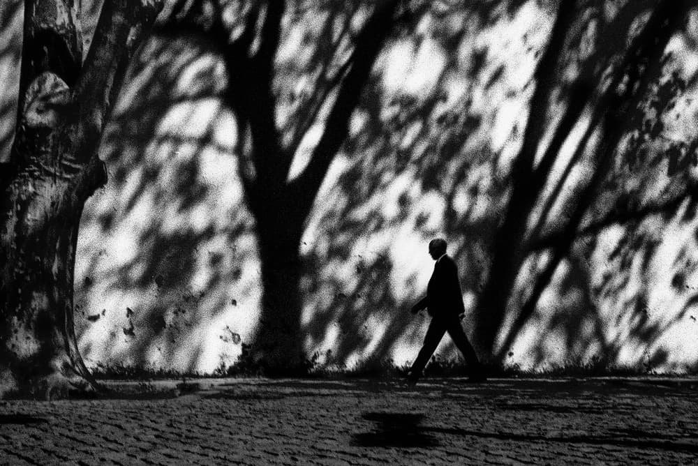 Man Walking Shadows by Paulo Abrantes — canvas wall art