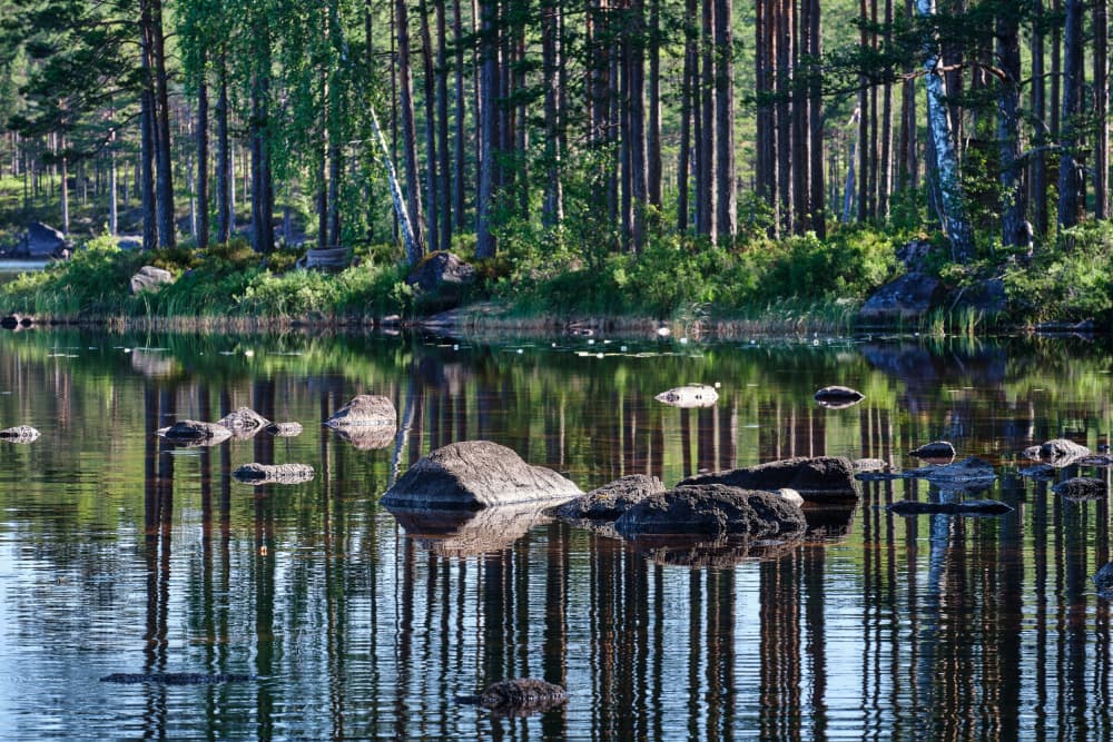 Tranquil Forest Lake by Geertjan Plooijer — canvas wall art