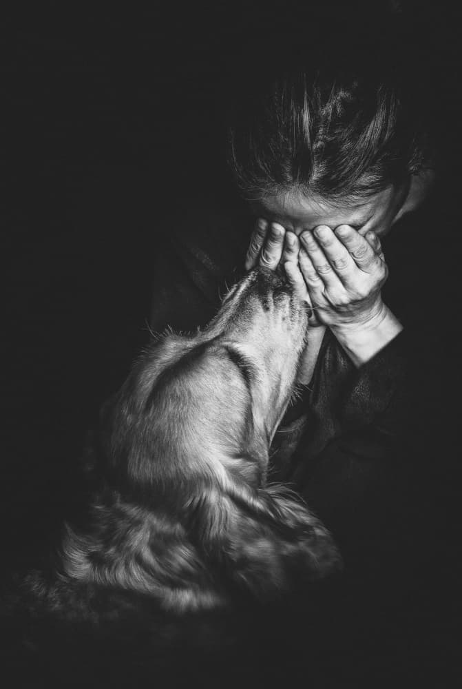 Dog Comforts Crying Woman by Toni Fidanza — canvas wall art