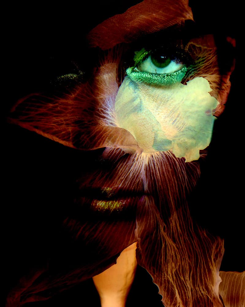 Mysterious Floral Eye by David McCracken — canvas wall art