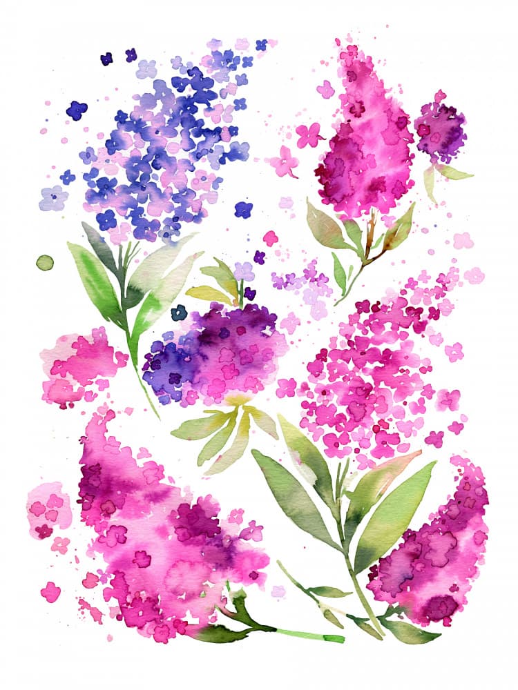 Vibrant Lilac Watercolor Blooms by Ninola Design — canvas wall art