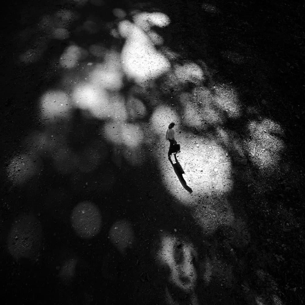 Solitary Shadow Walk by Huib Limberg — canvas wall art