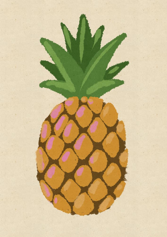 Fresh Tropical Pineapple by Nicholas — canvas wall art