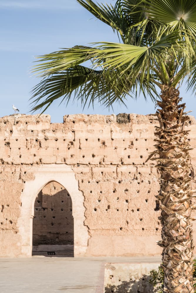 Marrakech Old Wall Palm by Photolovers — canvas wall art