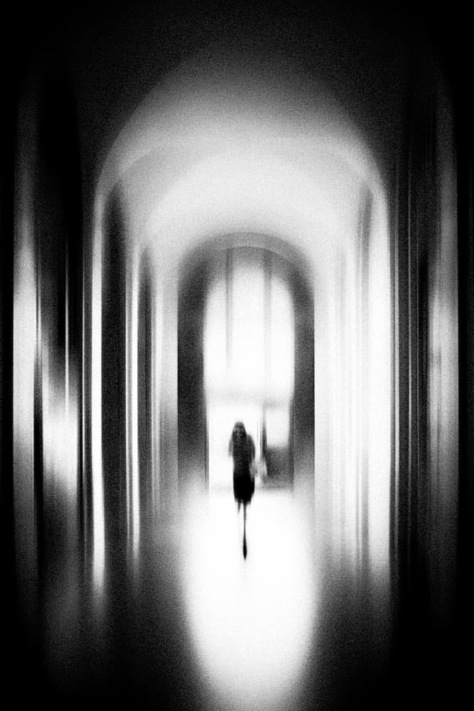 Journey Through Light by Tony Xu — canvas wall art