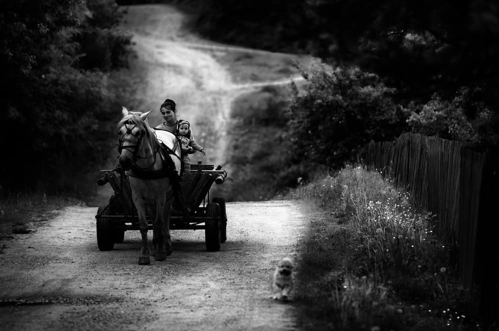 Rural Family Journey by Julien Oncete — canvas wall art