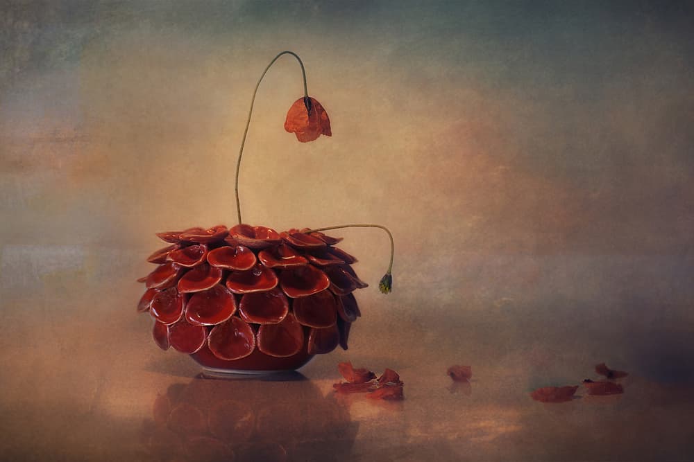by Elena Arjona — canvas wall art
