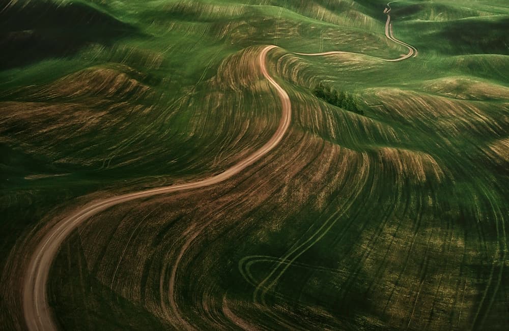 Rolling Hills Winding Road by John-Mei Zhong — canvas wall art
