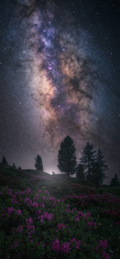 Milky Way Bloom by Carlos F. Turienzo — canvas wall art