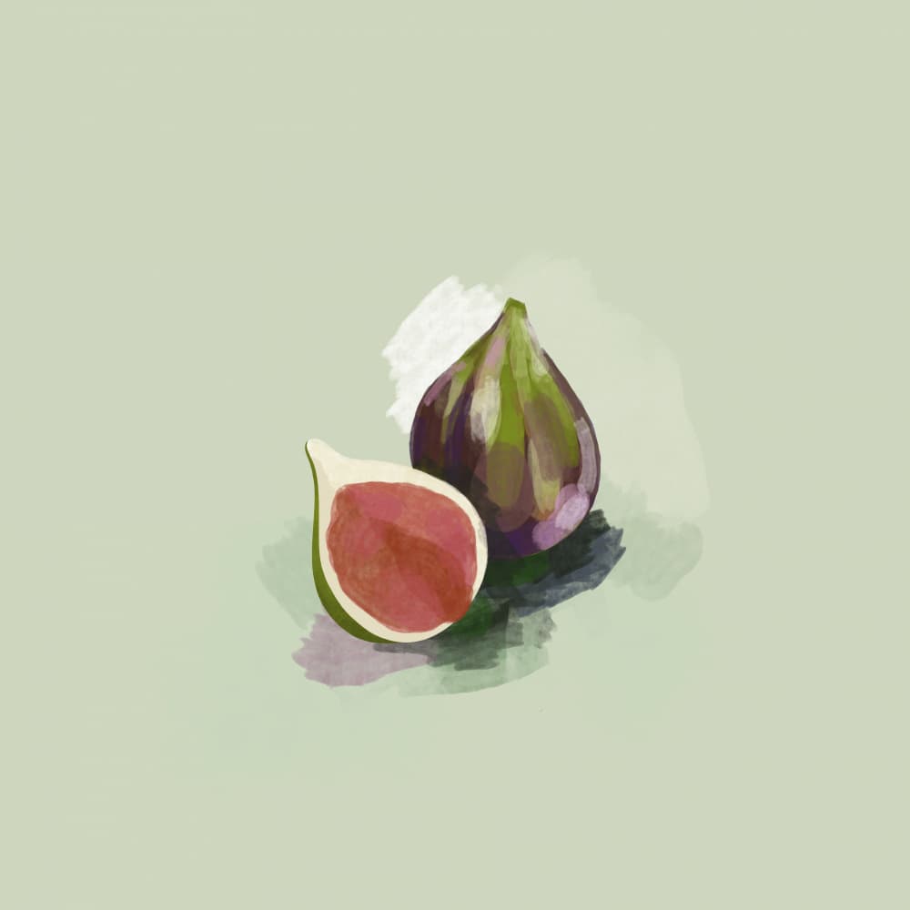 Sweet Figs Still Life by Rosana Laiz Blursbyai — canvas wall art