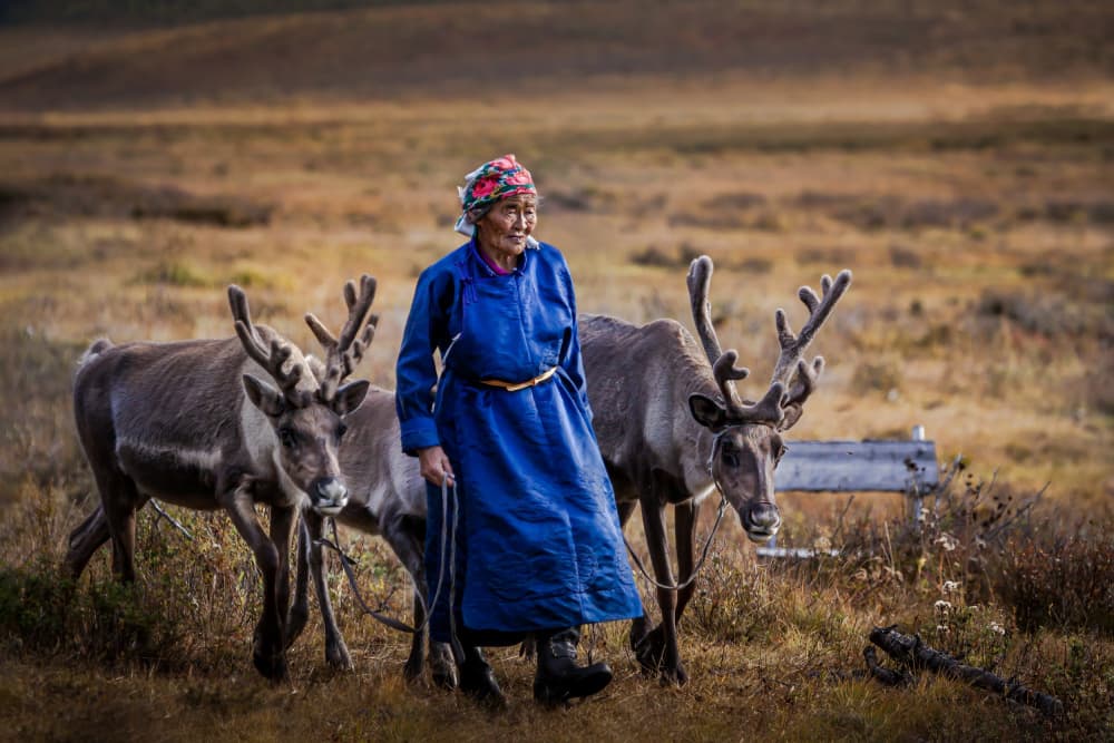 Smiling Elder Reindeer Journey by Irene Wu — canvas wall art