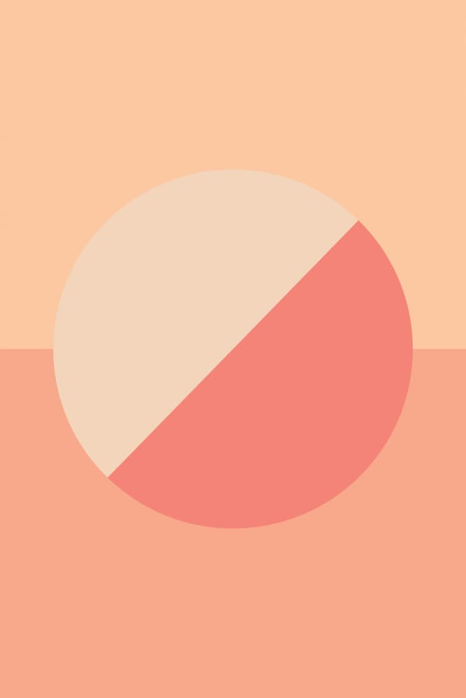 Geometric Peach Circle by Pictufy Studio — canvas wall art