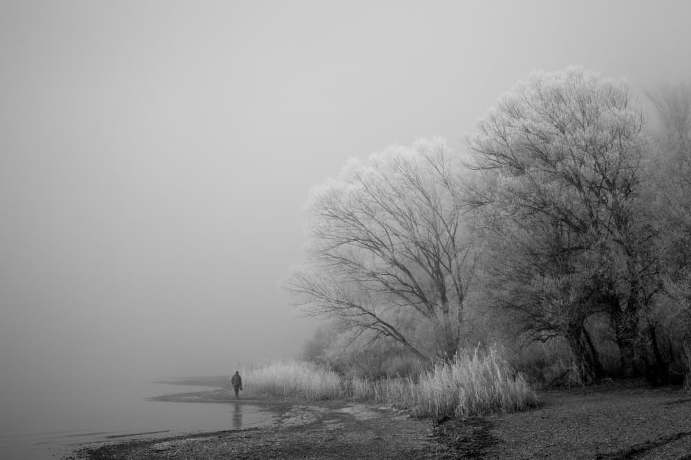 Solitary Winter Walk by Hans Peter Rank — canvas wall art