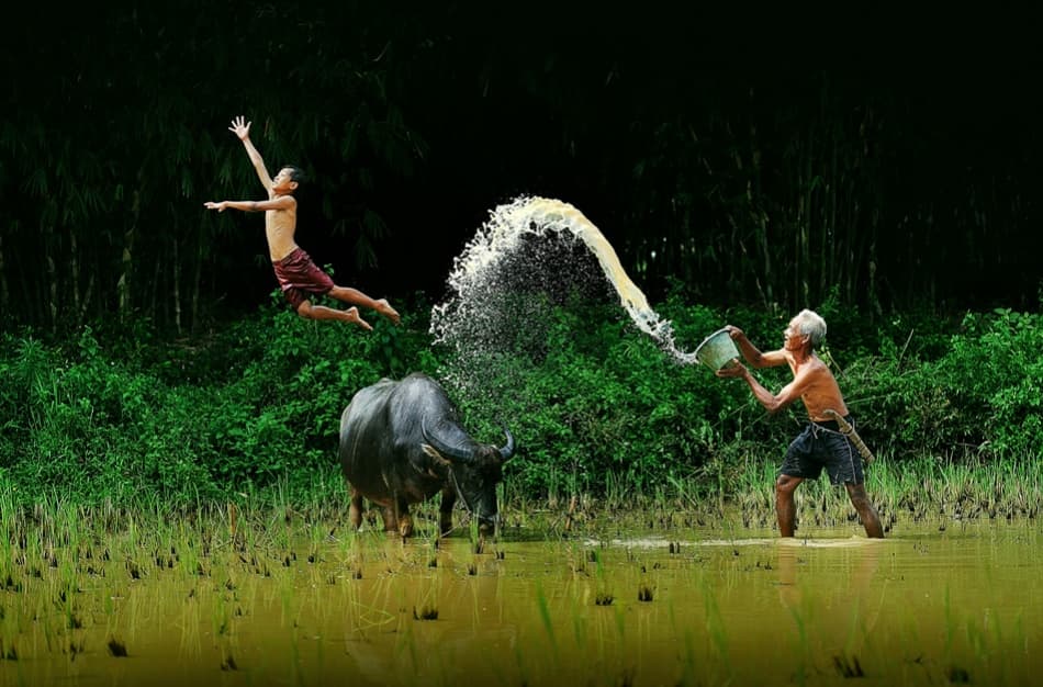 Joyful Water Play by hardibudi — canvas wall art