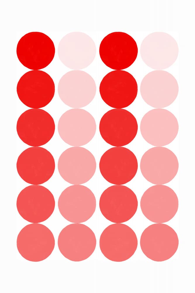 Red Pink Gradient Circles by Rosana Laiz Blursbyai — canvas wall art