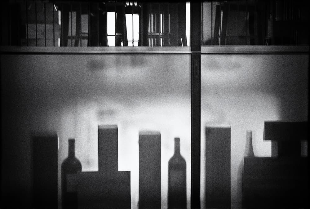 Frosted Glass Silhouettes by Jutta Kerber — canvas wall art