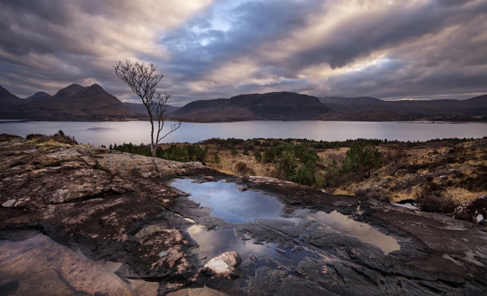 Lone Tree Loch Reflection by Anne Berger — canvas wall art