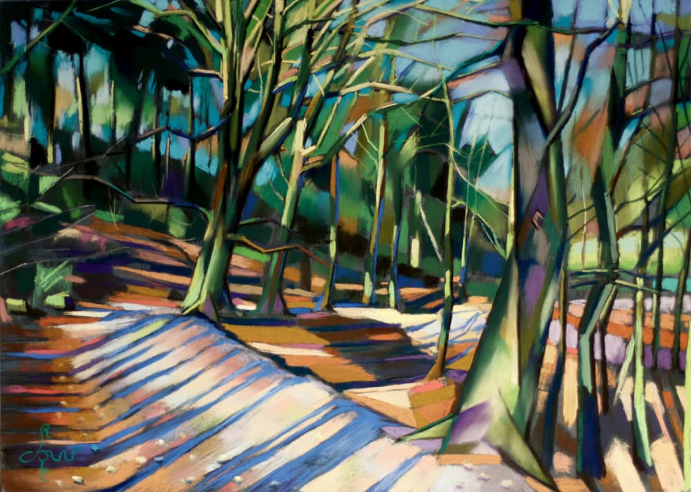 Sunny Forest Path by Corné Akkers — canvas wall art