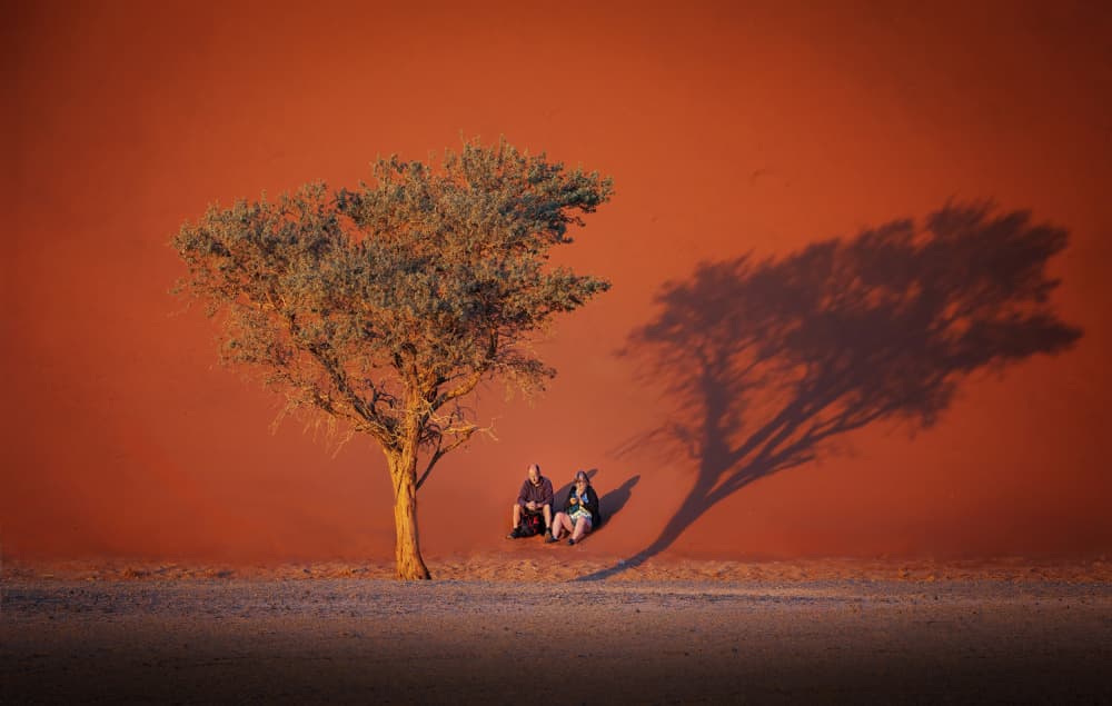 Warm Desert Tree Shadow by Yun Gong — canvas wall art