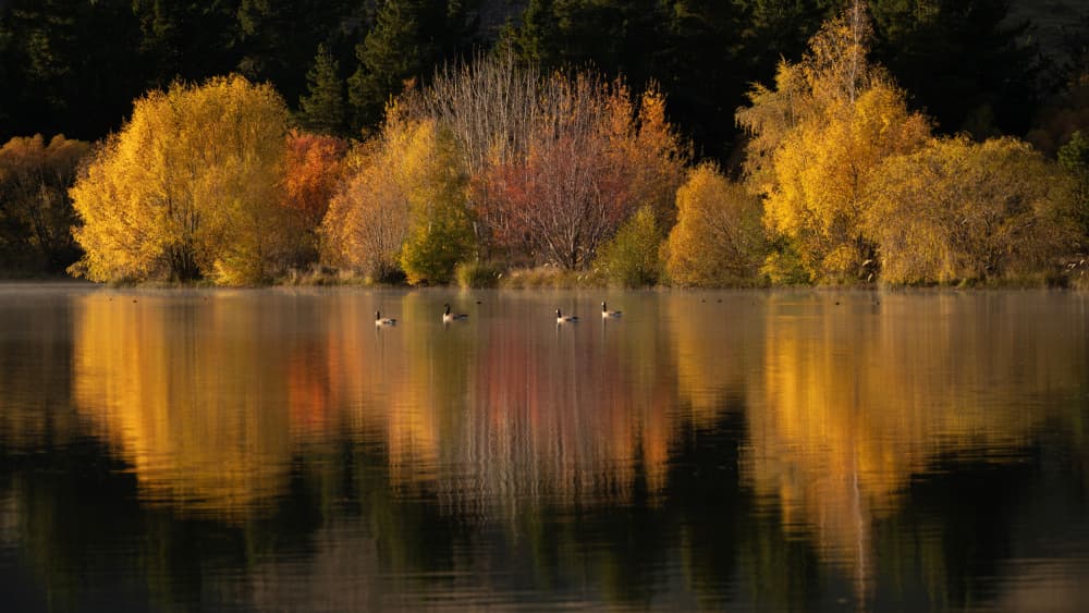 Autumn Lake Reflections by Emanuel Papamanolis — canvas wall art
