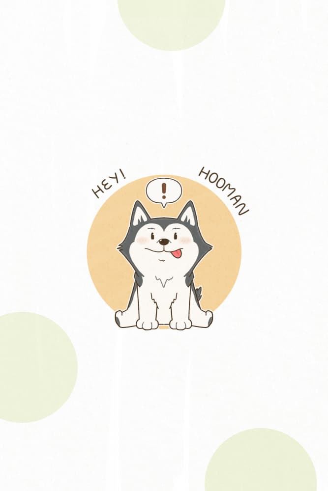 Happy Cartoon Husky by Xuan Thai — canvas wall art