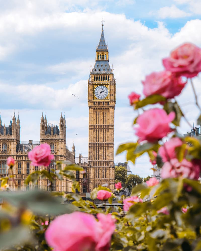 London Big Ben Roses by Gabor Estefan — canvas wall art