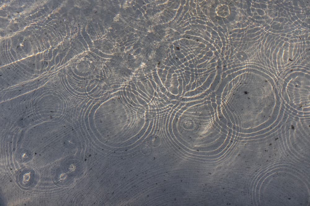 Sunlit Water Ripples by Mareike Böhmer — canvas wall art
