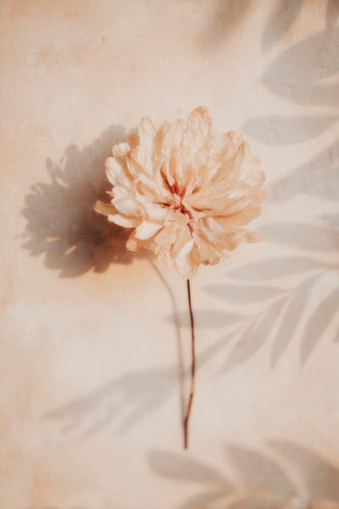 Mutedmomentsno04 by Treechild — canvas wall art