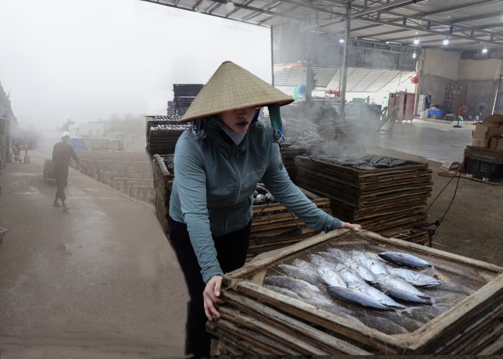 Asian Fish Processing by Clas Gustafson PRO — canvas wall art